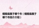 铜陵县属于哪个市（铜陵县属于哪个市简介介绍）