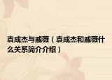 袁成杰与戚薇（袁成杰和戚薇什么关系简介介绍）