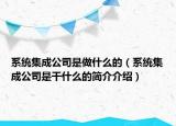 系统集成公司是做什么的（系统集成公司是干什么的简介介绍）