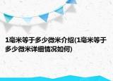 1毫米等于多少微米介绍(1毫米等于多少微米详细情况如何)