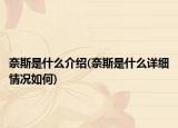 奈斯是什么介绍(奈斯是什么详细情况如何)