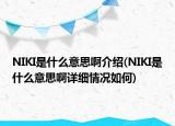 NIKI是什么意思啊介绍(NIKI是什么意思啊详细情况如何)