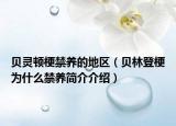 贝灵顿梗禁养的地区（贝林登梗为什么禁养简介介绍）