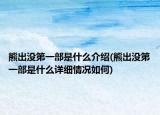 熊出没第一部是什么介绍(熊出没第一部是什么详细情况如何)