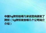 中国5g牌照给哪几家运营商颁发了牌照（5g牌照发放哪几个公司简介介绍）
