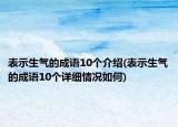 表示生气的成语10个介绍(表示生气的成语10个详细情况如何)