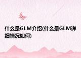 什么是GLM介绍(什么是GLM详细情况如何)