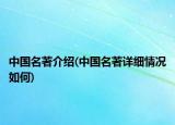 中国名著介绍(中国名著详细情况如何)