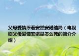 父母爱情原著安然安诺结局（电视剧父母爱情安诺是怎么死的简介介绍）