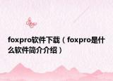 foxpro软件下载（foxpro是什么软件简介介绍）