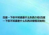 百度一下你不知道是什么东西介绍(百度一下你不知道是什么东西详细情况如何)