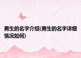 男生的名字介绍(男生的名字详细情况如何)