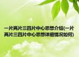 一片两片三四片中心思想介绍(一片两片三四片中心思想详细情况如何)