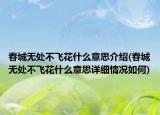春城无处不飞花什么意思介绍(春城无处不飞花什么意思详细情况如何)