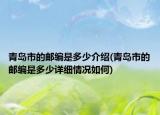 青岛市的邮编是多少介绍(青岛市的邮编是多少详细情况如何)
