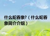 什么蛇吞象?（什么蛇吞象简介介绍）