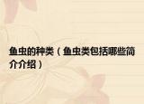 鱼虫的种类（鱼虫类包括哪些简介介绍）