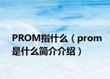 PROM指什么（prom是什么简介介绍）