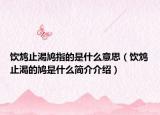 饮鸩止渴鸠指的是什么意思（饮鸩止渴的鸠是什么简介介绍）
