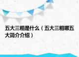 五大三粗是什么（五大三粗哪五大简介介绍）