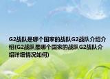 G2战队是哪个国家的战队G2战队介绍介绍(G2战队是哪个国家的战队G2战队介绍详细情况如何)
