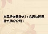 东风快递是什么?（东风快递是什么简介介绍）