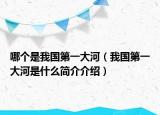 哪个是我国第一大河（我国第一大河是什么简介介绍）
