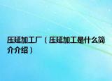 压延加工厂（压延加工是什么简介介绍）