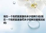 现在一个拖把就是墩布多少钱啊介绍(现在一个拖把就是墩布多少钱啊详细情况如何)