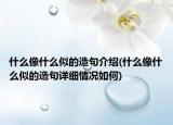 什么像什么似的造句介绍(什么像什么似的造句详细情况如何)