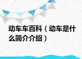 动车车百科（动车是什么简介介绍）
