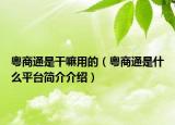 粤商通是干嘛用的（粤商通是什么平台简介介绍）