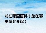 龙在哪里百科（龙在哪里简介介绍）