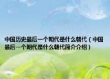中国历史最后一个朝代是什么朝代（中国最后一个朝代是什么朝代简介介绍）
