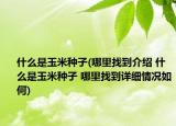 什么是玉米种子(哪里找到介绍 什么是玉米种子 哪里找到详细情况如何)