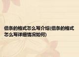 借条的格式怎么写介绍(借条的格式怎么写详细情况如何)