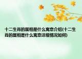 十二生肖的属相是什么寓意介绍(十二生肖的属相是什么寓意详细情况如何)