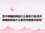 目不转睛的转是什么意思介绍(目不转睛的转是什么意思详细情况如何)