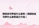 群里改马甲是什么意思（进群改名马甲什么意思简介介绍）