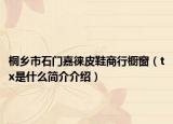 桐乡市石门嘉徕皮鞋商行橱窗（tx是什么简介介绍）