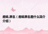 鹿晗,原名（鹿晗原名是什么简介介绍）