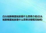 白头如新倾盖如故是什么意思介绍(白头如新倾盖如故是什么意思详细情况如何)