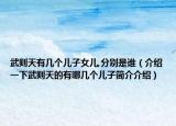 武则天有几个儿子女儿,分别是谁（介绍一下武则天的有哪几个儿子简介介绍）