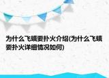 为什么飞蛾要扑火介绍(为什么飞蛾要扑火详细情况如何)