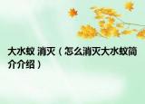 大水蚁 消灭（怎么消灭大水蚁简介介绍）