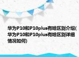 华为P10和P10plus有啥区别介绍(华为P10和P10plus有啥区别详细情况如何)