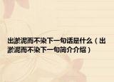 出淤泥而不染下一句话是什么（出淤泥而不染下一句简介介绍）
