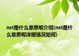nst是什么意思呢介绍(nst是什么意思呢详细情况如何)