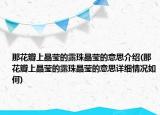 那花瓣上晶莹的露珠晶莹的意思介绍(那花瓣上晶莹的露珠晶莹的意思详细情况如何)