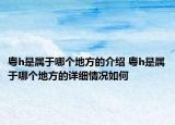 粤h是属于哪个地方的介绍 粤h是属于哪个地方的详细情况如何